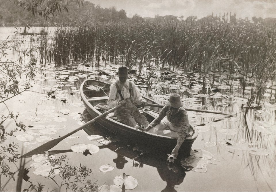 Peter Henry Emerson - Gathering Waterlilies - Google Art Project