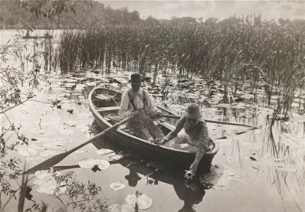 Peter Henry Emerson - Gathering Waterlilies - Google Art Project. Free illustration for personal and commercial use.