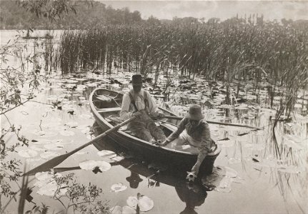 Peter Henry Emerson - Gathering Waterlilies - Google Art Project
