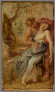 Peter Paul Rubens - De dood van Eurydice - St 30 - Museum Boijmans Van Beuningen