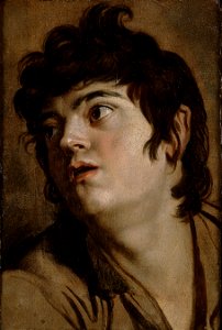 Peter Paul Rubens - Head of a Young Man - Google Art Project