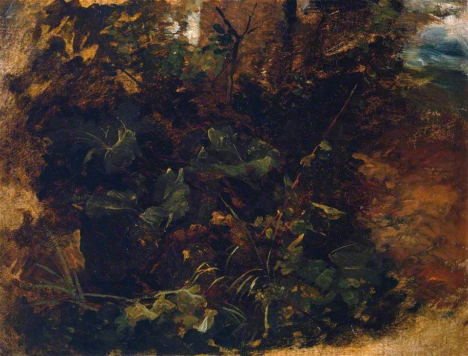 Peter de Wint (1784-1849) - Study of Burdock and other Plants - T03669 - Tate