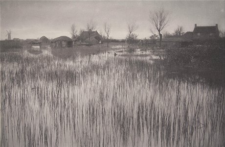 Peter Emerson - A Rushy Shore, plate XXXV from Life and Landscape on the Norfolk Broads - Google Art Project