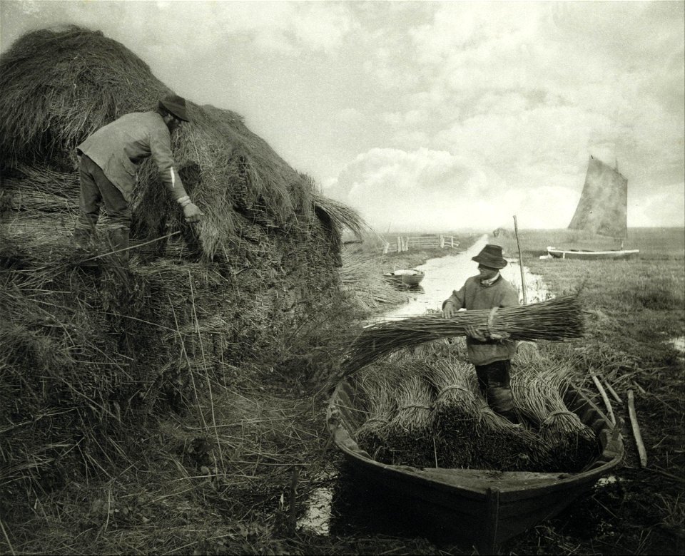 Peter Henry Emerson - Ricking the Reed - Google Art Project