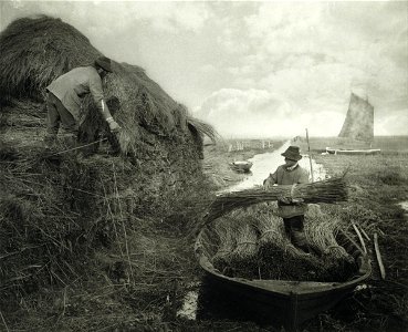 Peter Henry Emerson - Ricking the Reed - Google Art Project