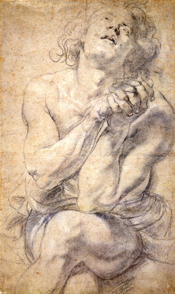 Peter Paul Rubens - Seated Male Youth (Study for Daniel) - Google Art Project