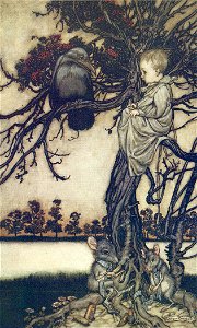Peter Pan Put his strange case before old Solomon Caw