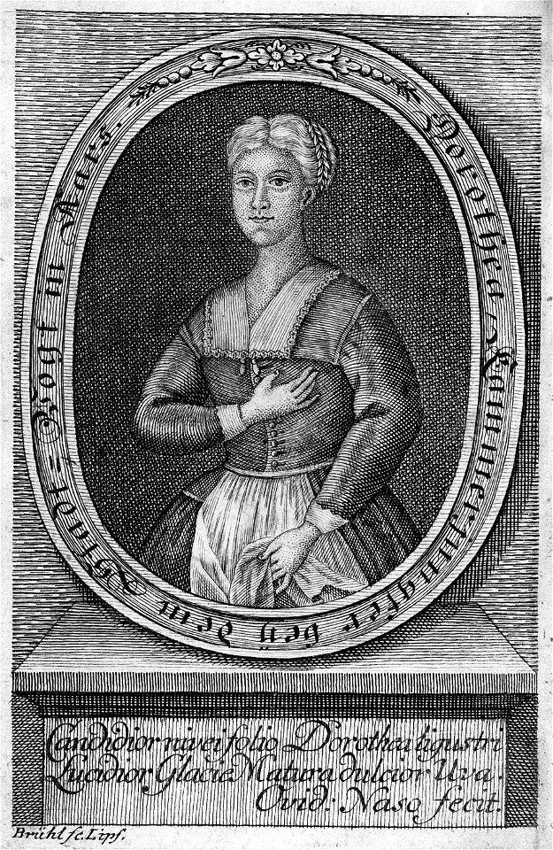 Peter Paars Illustration Dorothea Kammerjungfer