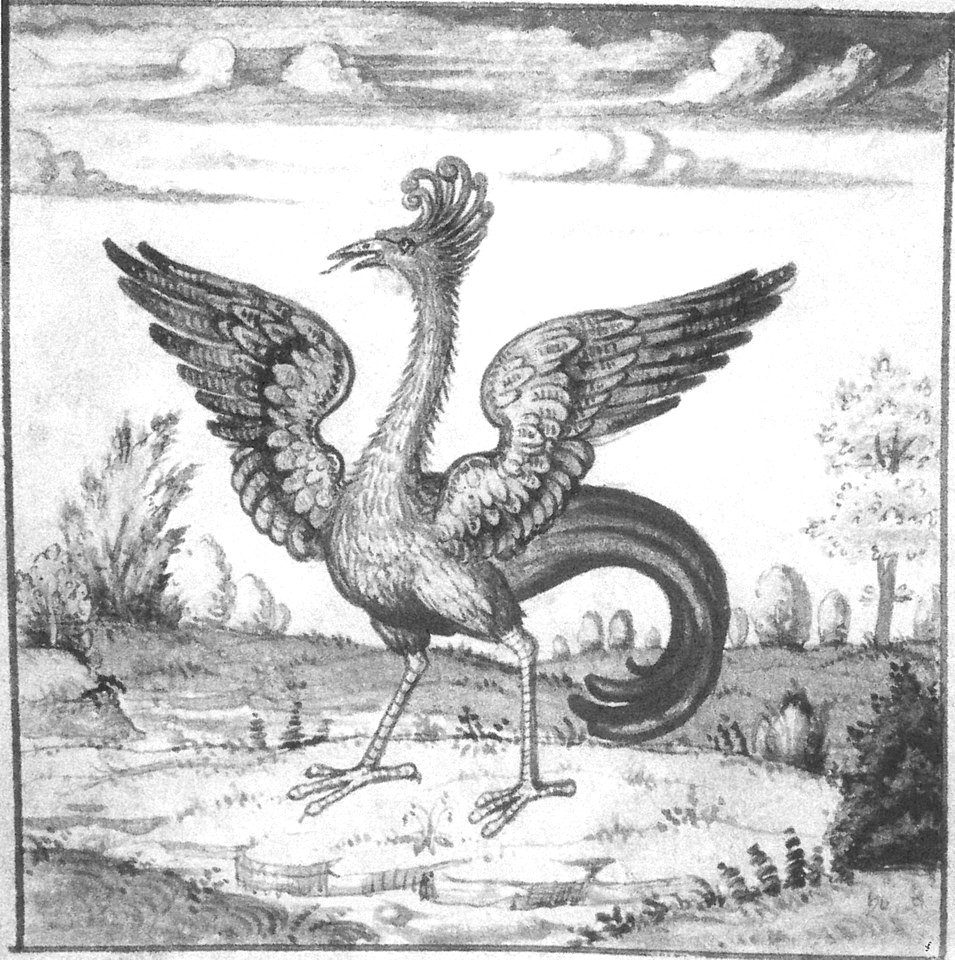 Petrarch-smm2-glasgow-09-phoenix