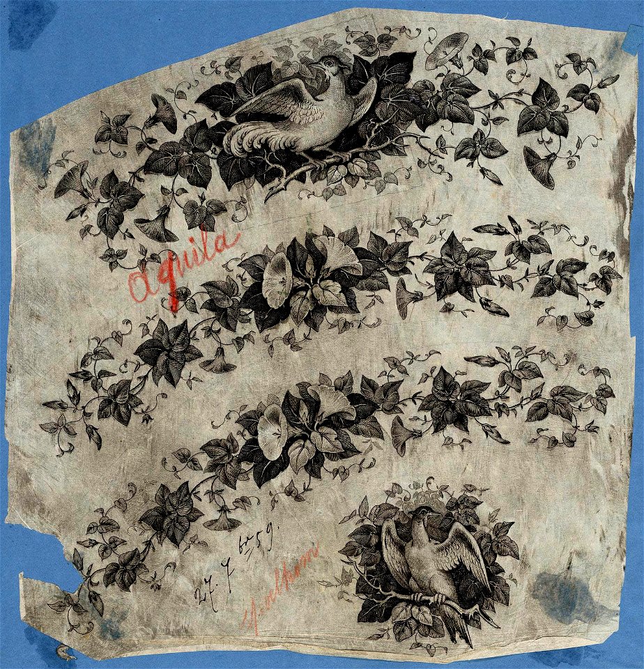 Petrus Regout & Co. Aquila 1