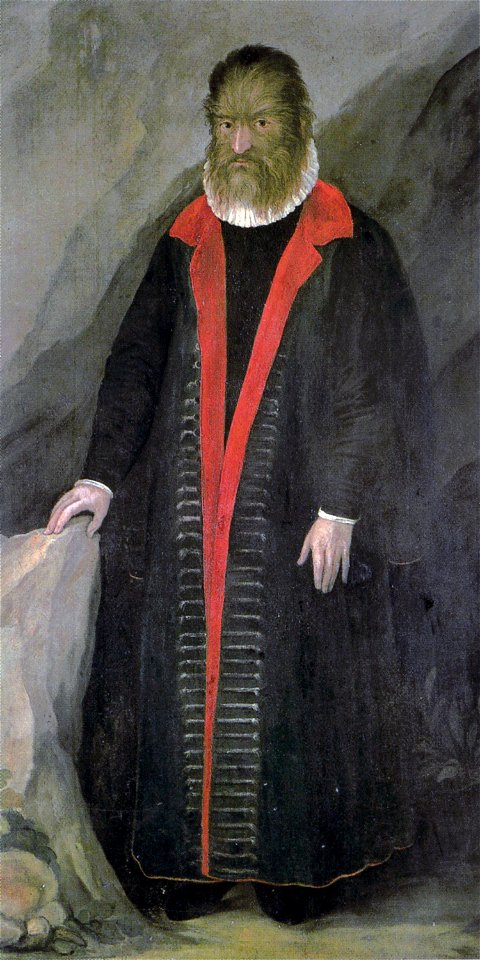 PetrusGonsalvusFXD