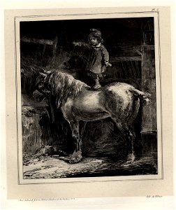 Petit enfrant debout sur un cheval (BM 1869,0410.95)