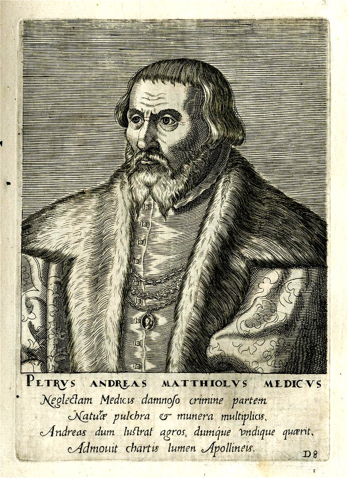 Petrus Andreas Matthiolus Medicus (BM 1925,1117.105)