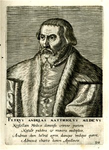 Petrus Andreas Matthiolus Medicus (BM 1925,1117.105)