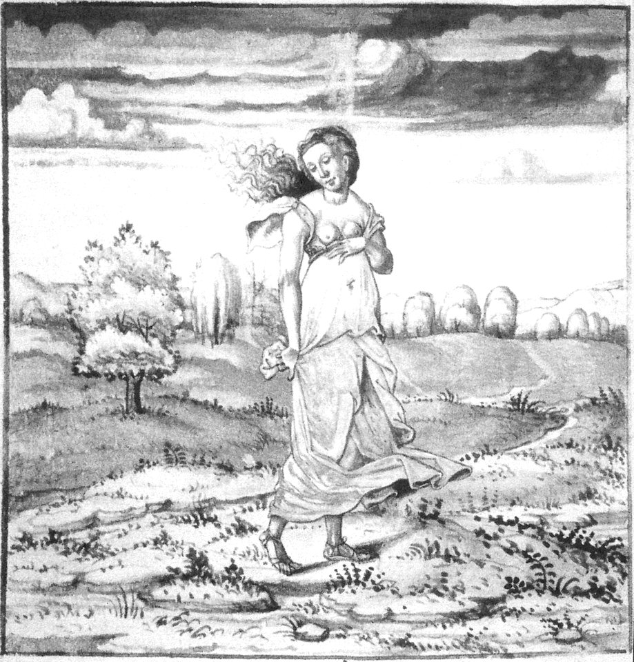 Petrarch-smm2-glasgow-11-lady