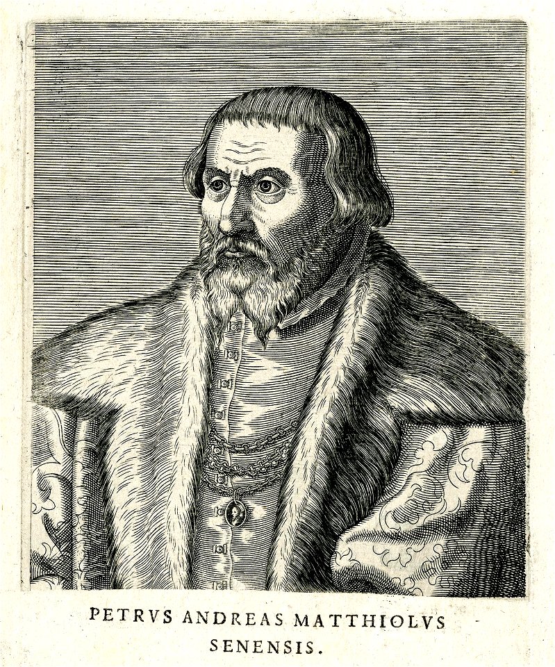 Petrus Andreas Matthiolus - Senesis (BM 1864,0309.66)