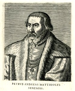 Petrus Andreas Matthiolus - Senesis (BM 1864,0309.66)
