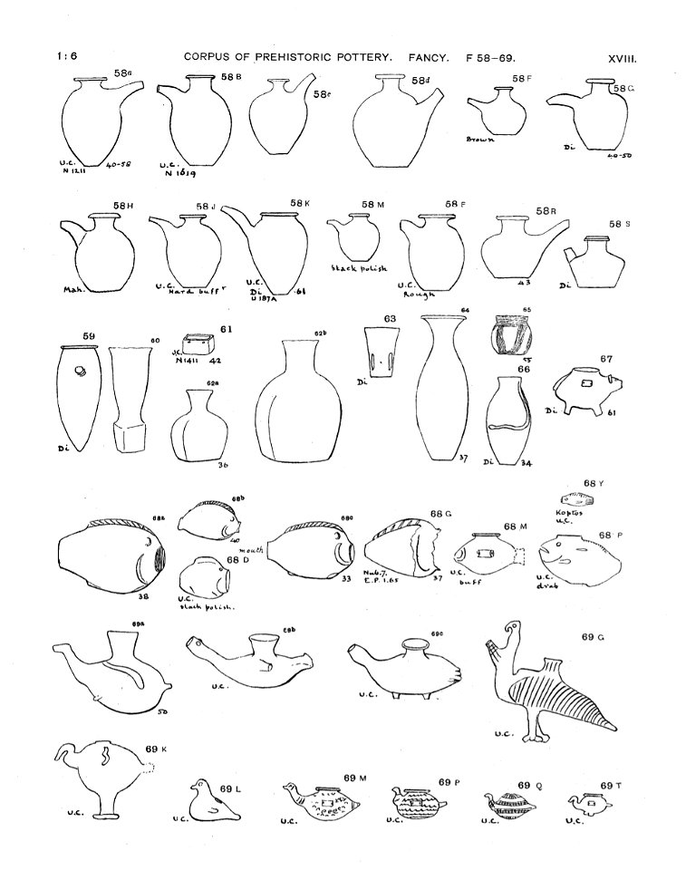 Petrie-Fancy-04