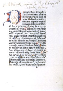 Petrus Hispanus Summularum ilber Paris 1481 (Isny)