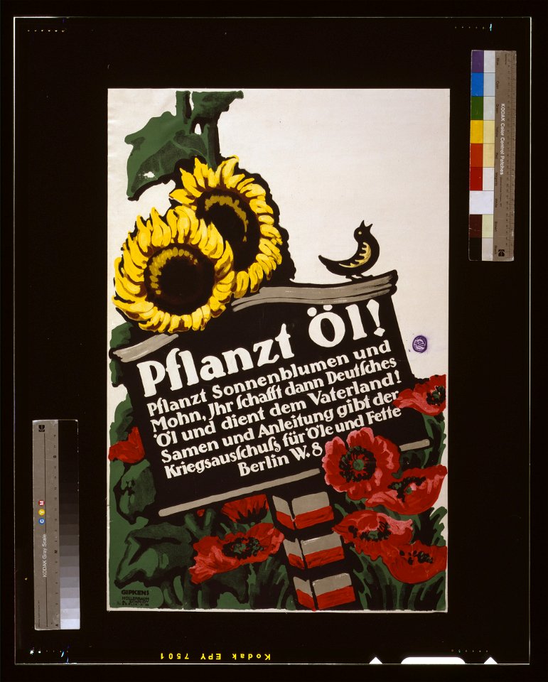 Pflanzt Öl! Pflanzt Sonneblumen und Mohn, ihr schafft dann Deutsches öl und dient dem Vaterland! ... - Gipkens. LCCN2004665885