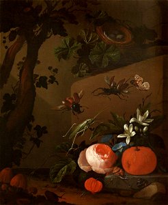 Philip van Kouwenberg (1671-1729) - Still Life of Flowers in a Vase, Cape Gooseberries and Stag Beetles - 732166 - National Trust. Free illustration for personal and commercial use.