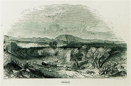 Pharae - Wordsworth Christopher - 1882