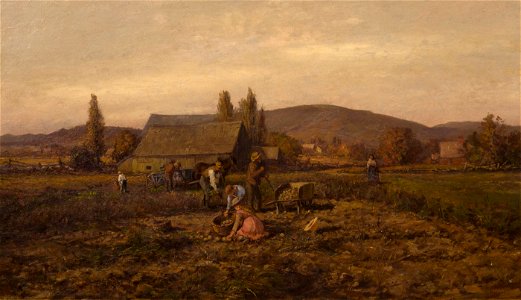 Harvesting Potatoes by William Preston Phelps