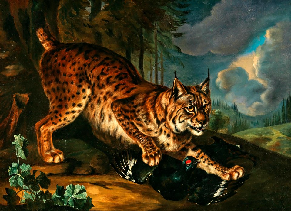 Philipp Ferdinand de Hamilton (Umkreis) Luchs
