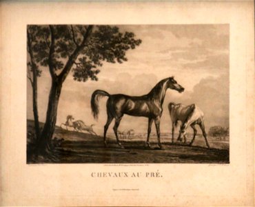 Philibert-Louis Debucourt - Chevaux au pré