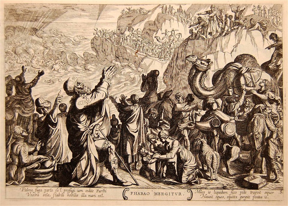 Pharao mergitur (BM 1948,0410.4.9)
