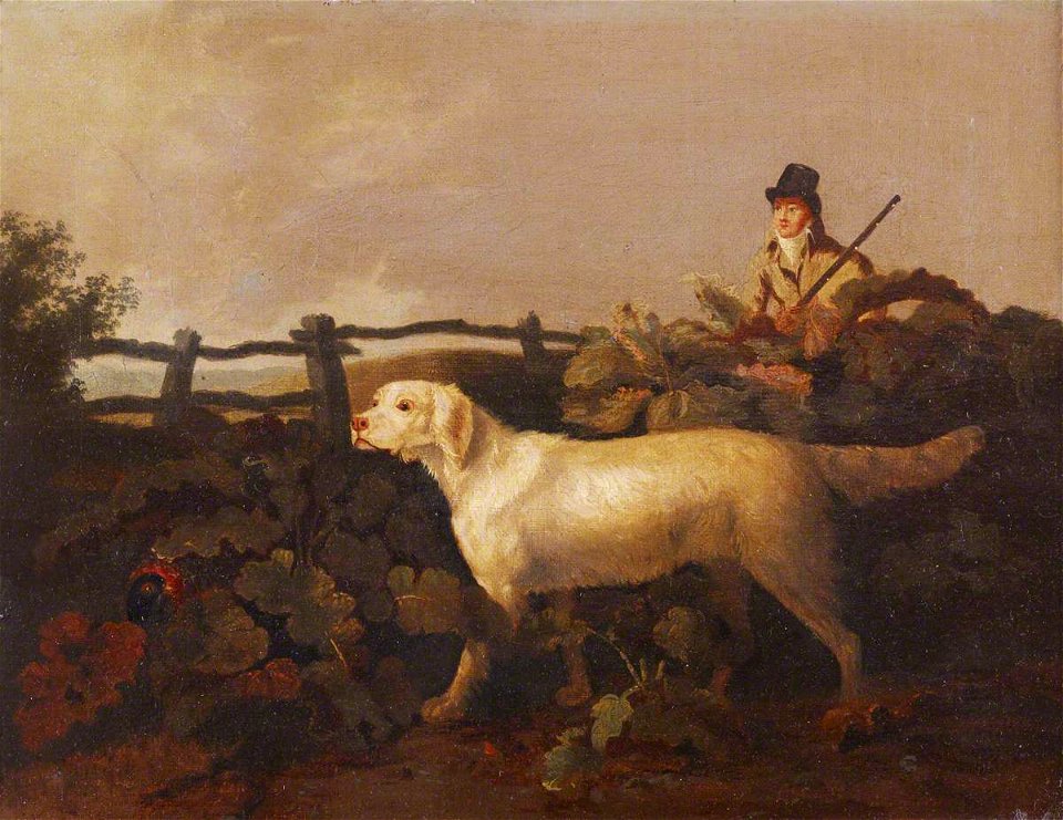 Philip Reinagle (1749-1833) - A Sportsman and His Dog - 515536 - National Trust