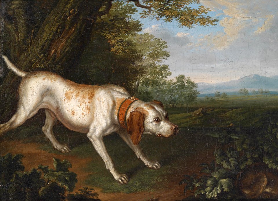 Philipp Ferdinand de Hamilton Jagdhund