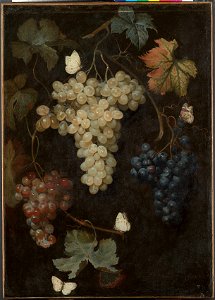 Philipp Ferdinand de Hamilton - Weintrauben mit drei Trauben und Schmetterlingen - GG 7663 - Kunsthistorisches Museum