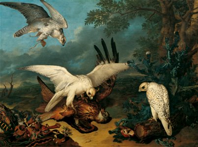 Philipp Ferdinand de Hamilton - Ein roter Milan, von isländischen Falken besiegt - 4207 - Kunsthistorisches Museum