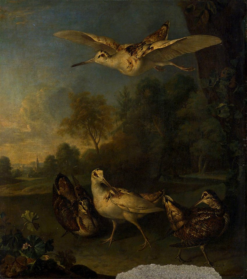 Philipp Ferdinand de Hamilton - Weisse und braune Schnepfen - GG 1832 - Kunsthistorisches Museum