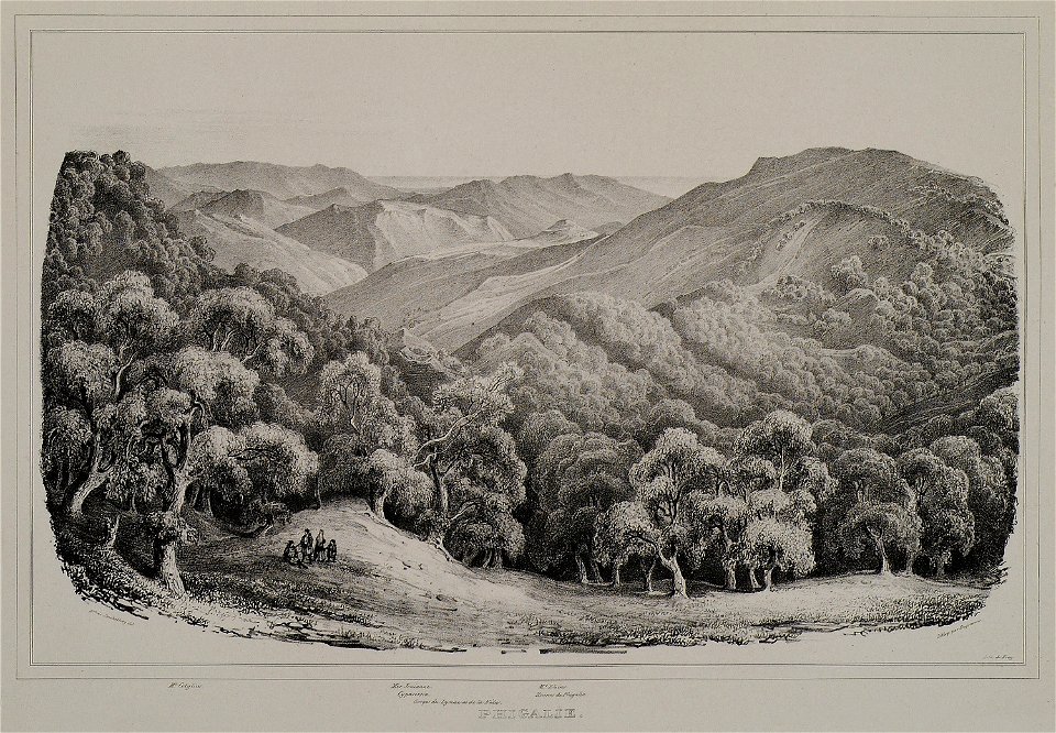 Phigalie - Stackelberg Otto Magnus Von - 1834