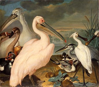 Philipp Ferdinand de Hamilton - Pelikane und andere Vögel - GG 705 - Kunsthistorisches Museum