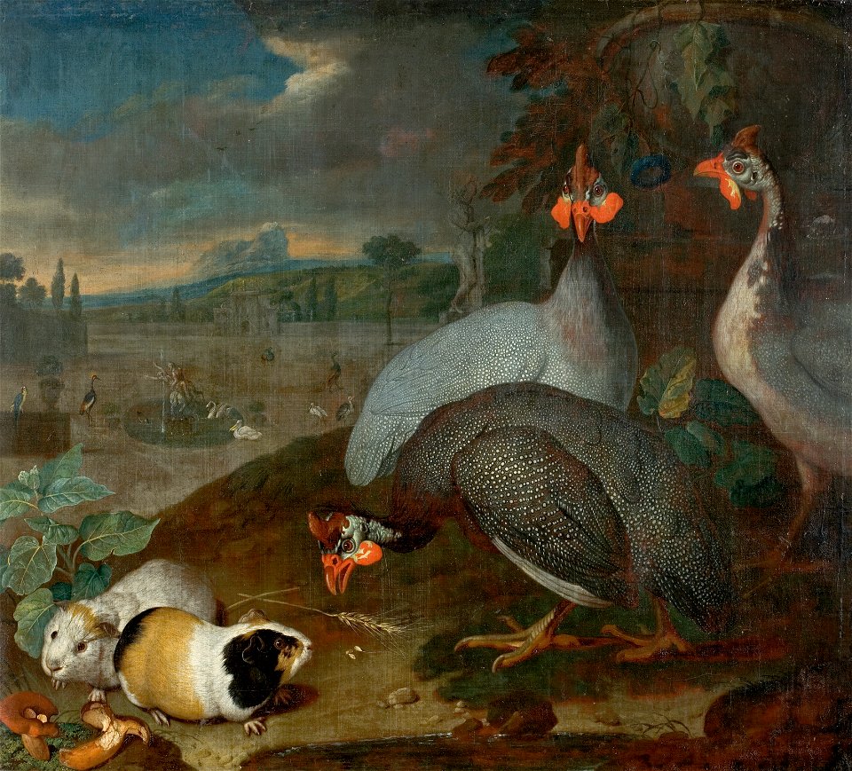 Philipp Ferdinand de Hamilton - Perlhühner mit Meerschweinchen - 4656 - Kunsthistorisches Museum