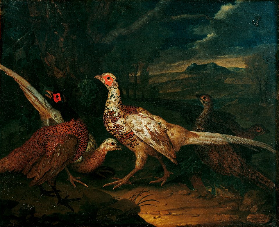 Philipp Ferdinand de Hamilton - Fasane - 4067 - Kunsthistorisches Museum