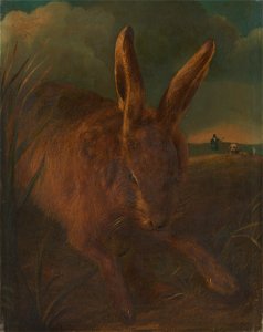 Philip Reinagle - Hare Hunting - Google Art Project