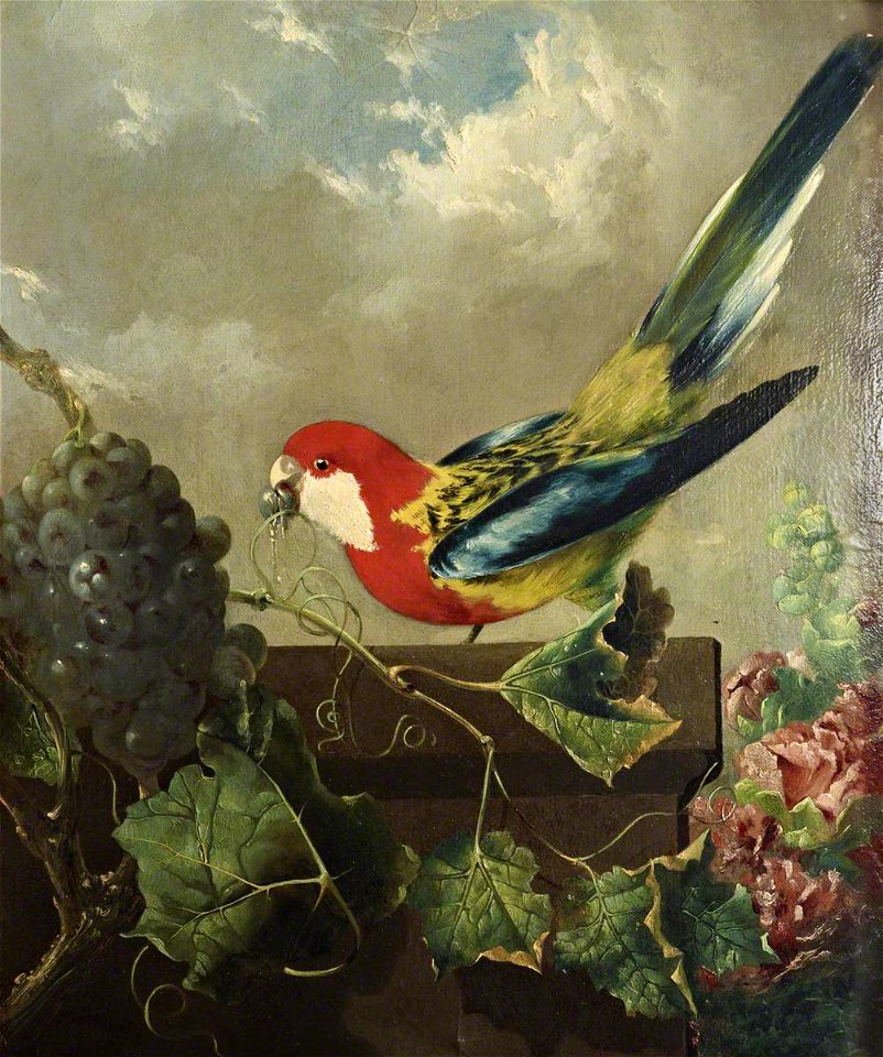 Philip Reinagle (1749-1833) - Parakeet with Grapes and Hollyhocks - 515544 - National Trust