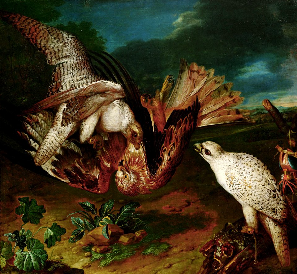 Philipp Ferdinand de Hamilton - Kämpfende Falken - GG 2218 - Kunsthistorisches Museum