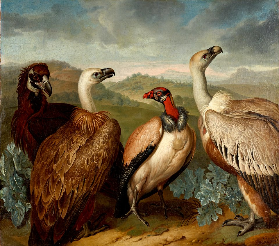 Philipp Ferdinand de Hamilton - Vier Geier verschiedener Art - 4208 - Kunsthistorisches Museum