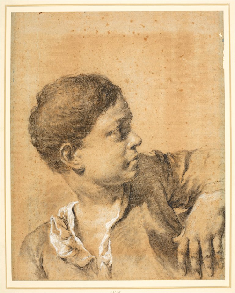 Piazzetta - The head of a boy in profile to the right c. 1730-50, RCIN 990773