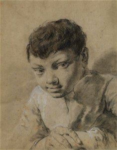 Piazzetta - Head of a boy, c. 1735-1743, 567-4