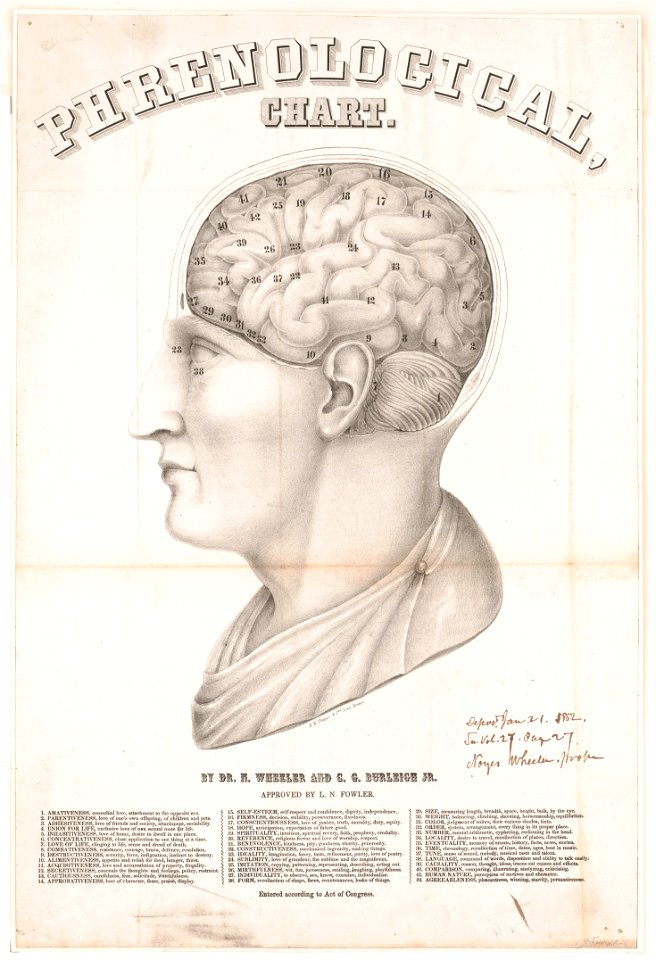Phrenological chart LCCN2003689349