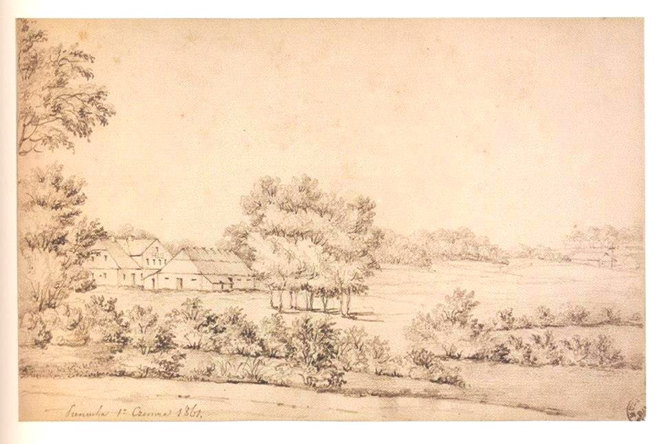 Pianiuha, Radzievič. Пянюга, Радзевіч (N. Orda, 1.06.1861)
