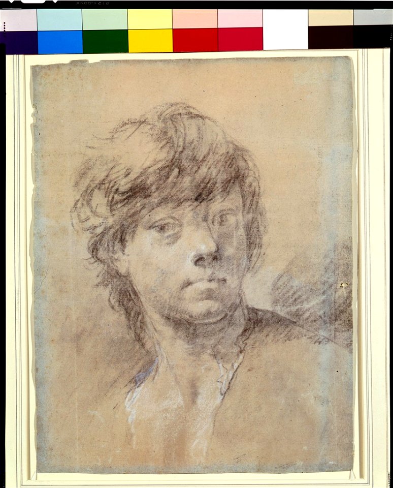 Piazzetta - Head of a Youth, 1932.319