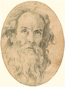 Piazzetta - Bearded Head, 1993.51