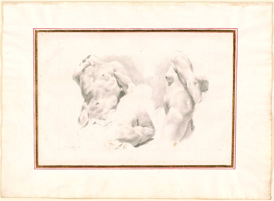 Piazzetta - Three Studies of a Male Torso, a Male Arm and a Female Torso, 1961.1252